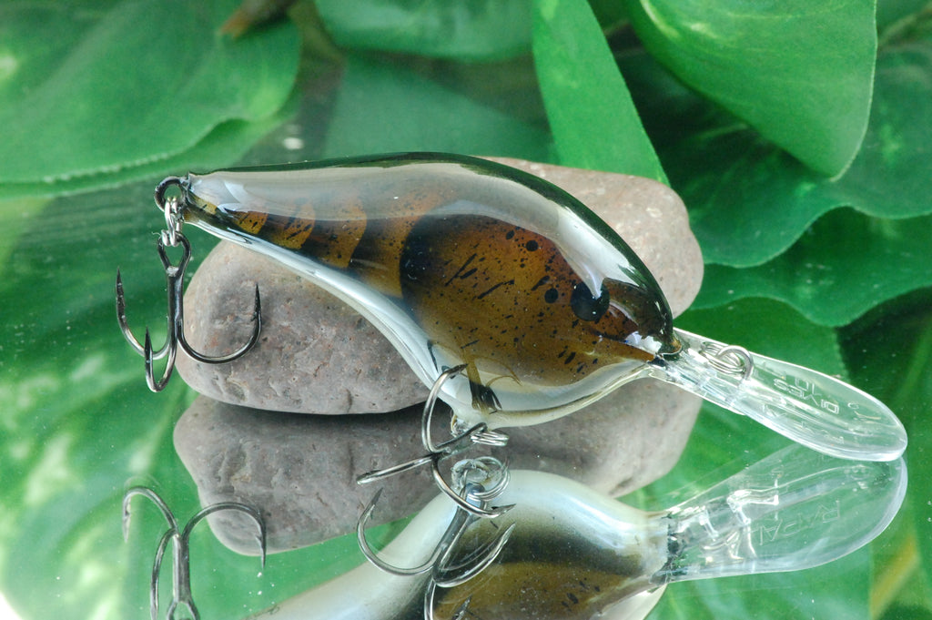 Marbled Craw