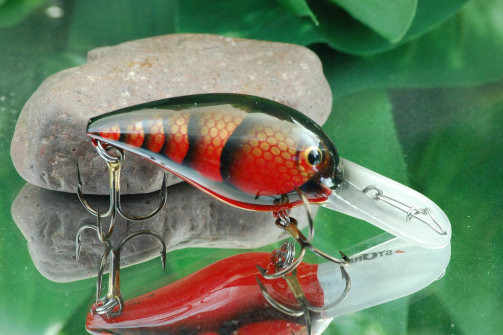 Red Scaled Craw